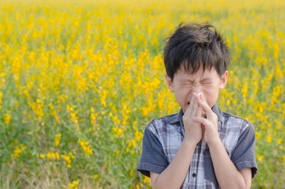Natural Relief for Seasonal Allergies