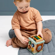 Trixie Small Activity Cube