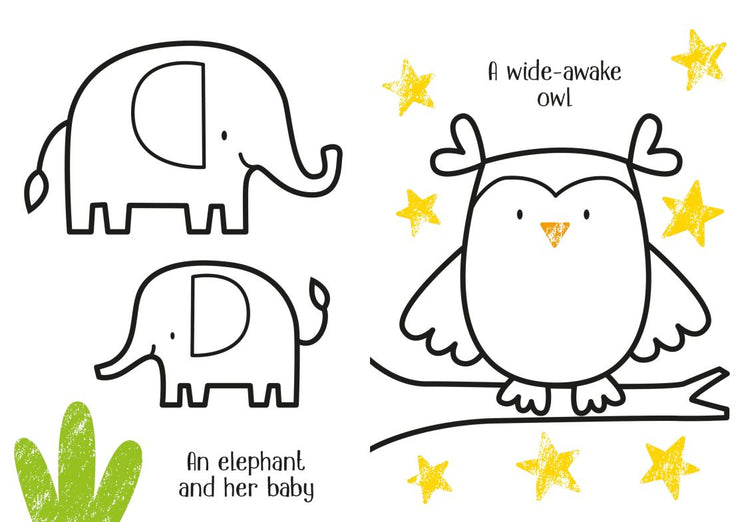 Little First Colouring Book Animals