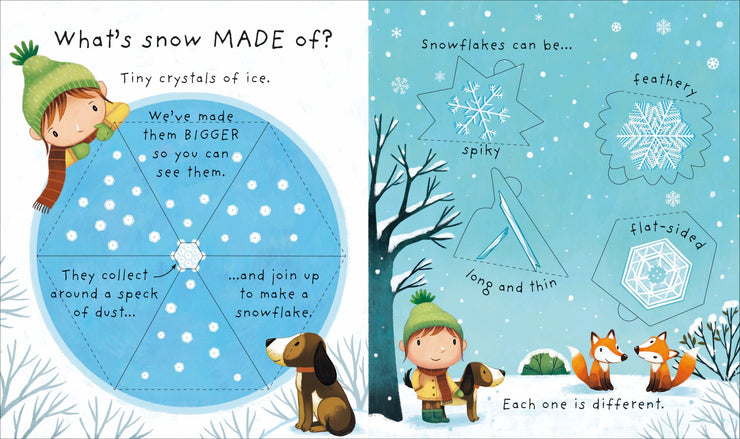 What is Snow?