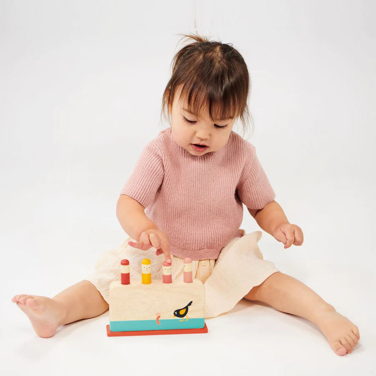 Mentari Wooden Early Bird Pop Up Toy