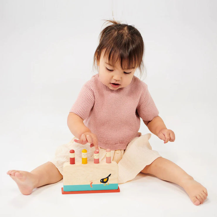 Wooden Early Bird Pop Up Toy