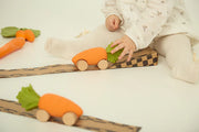 Oli & Carol Cathy The Carrot Baby Car Toy