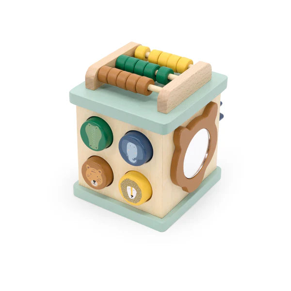Trixie Small Activity Cube