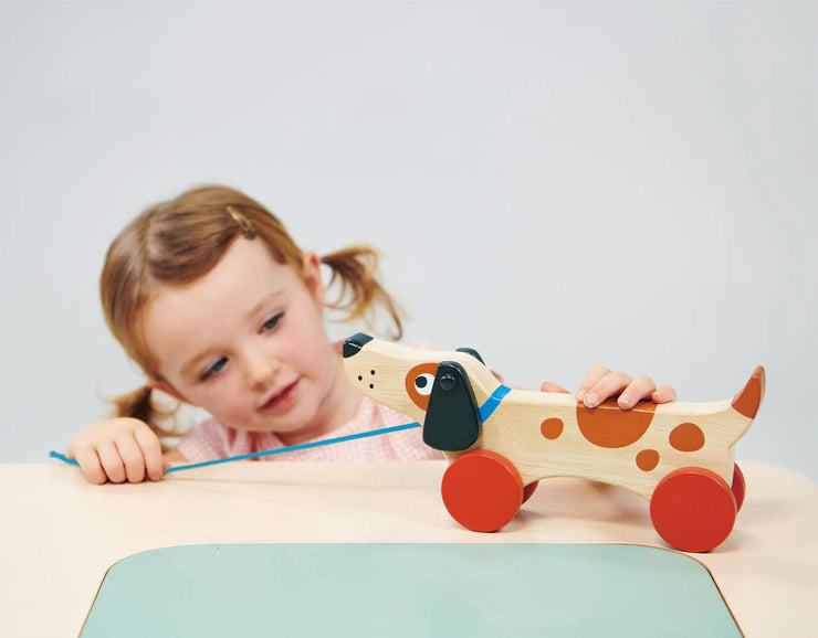 Mentari Wooden Puppy On Wheels