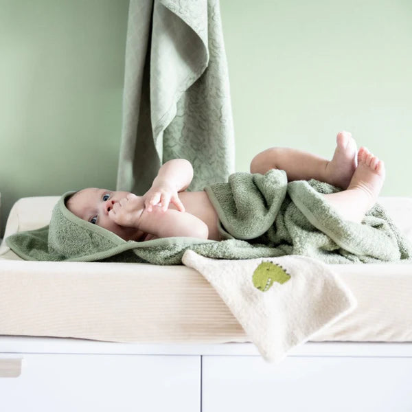 Trixie Hooded Towel - Dino