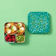 Planetbox Trailblazer Sandwich Box - Lagoon Terrazzo