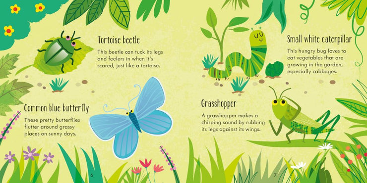 Bugs Matching Game