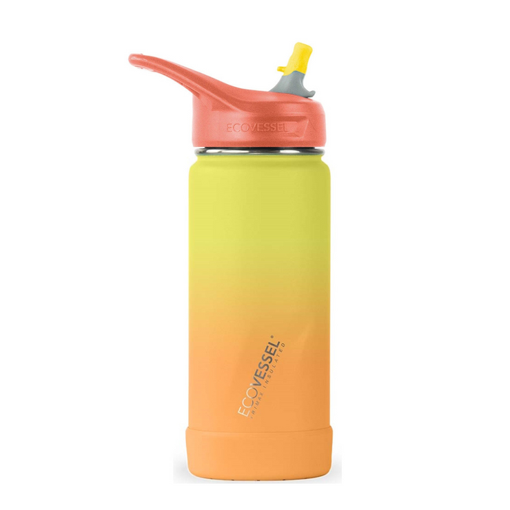 EcoVessel Insulated Stainless Steel 16oz Water Bottle with Straw - Summer Fun