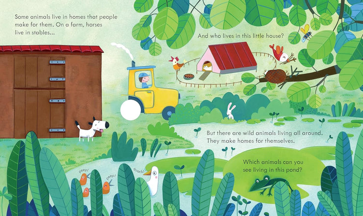 Peep Inside Animal Homes