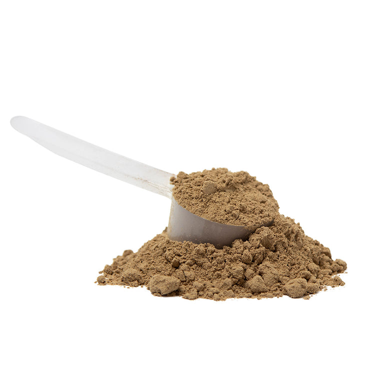 All-in-One Plant-Based Protein for Kids