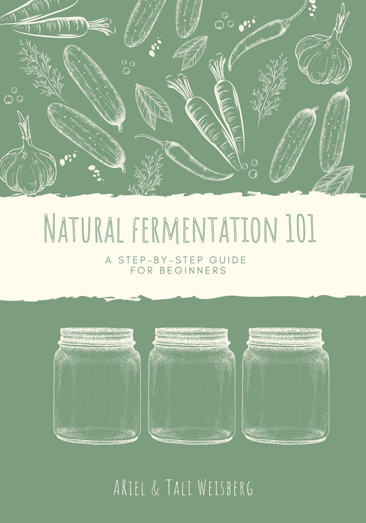 Natural Fermentation 101